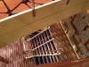 IMG_20190826_073448