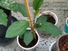 IMG_20190623_205528