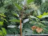 IMG_20190731_191911