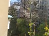 IMG_20200412_141851