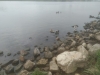 IMG_20190501_151506