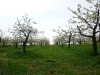 P1050780.JPG