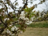 P1050802.JPG