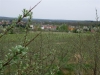 P1050819.JPG