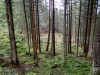 IMG_20190819_094734