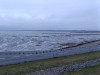 IMG_20250411_200929