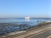 IMG_20250412_094915