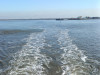 IMG_20250412_103024