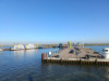 IMG_20250412_170828