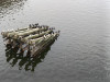IMG_20260130_124841