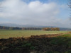 IMG_20211030_113607