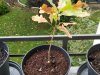 IMG_20191005_150500