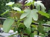 IMG_20190731_191922