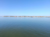 IMG_20250412_110533