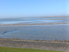 IMG_20250412_120629