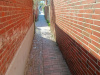 IMG_20250412_132158