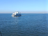 IMG_20250412_165115