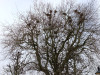 IMG_20250411_145536