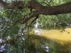 IMG_20210717_135818