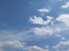 IMG_20240608_150404