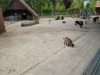 IMG_20190503_130941