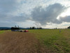 IMG_20250727_191418
