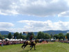 IMG_20250726_141651