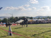 IMG_20260725_180320