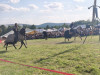 IMG_20260725_180438