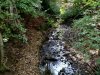 IMG_20220924_105040