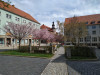 IMG_20220417_124145