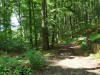 IMG_20210703_145218