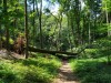 IMG_20210703_145546