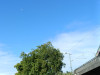 IMG_20250913_102347