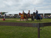 IMG_20230730_132031