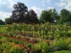 IMG_20210717_163556