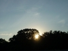 P1070223