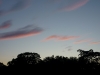 P1070224