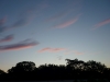 P1070226