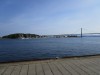 IMG_4289