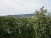 IMG_4038