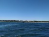 IMG_20200601_100700