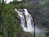 IMG_20190824_120839